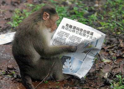 轰动山林装逼生成器
