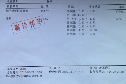 怀孕证明生成器