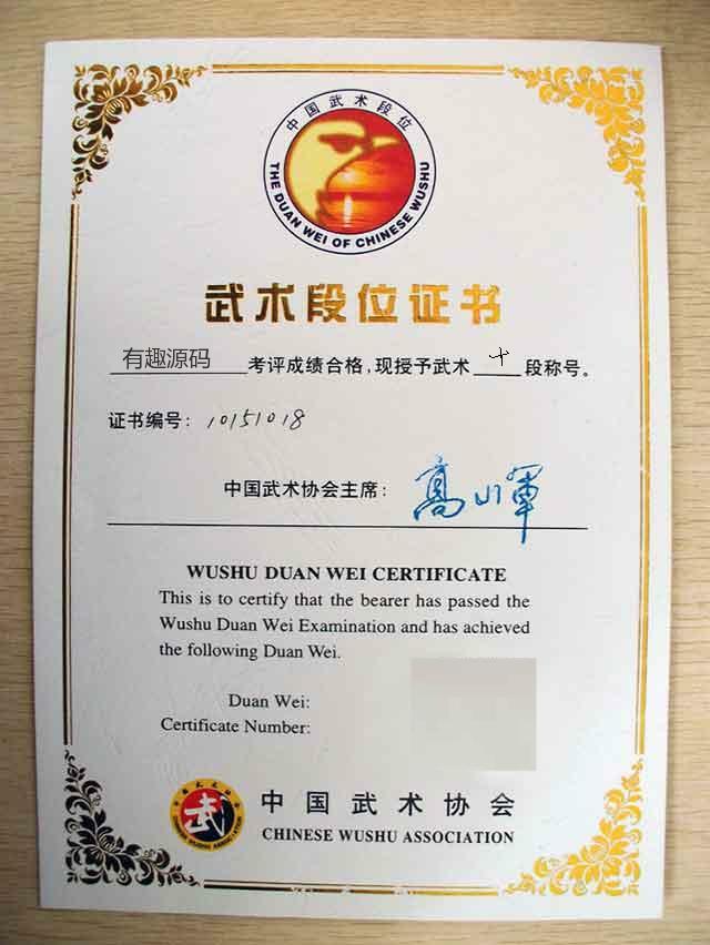武术段位生成器